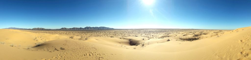 hermosillo deserto